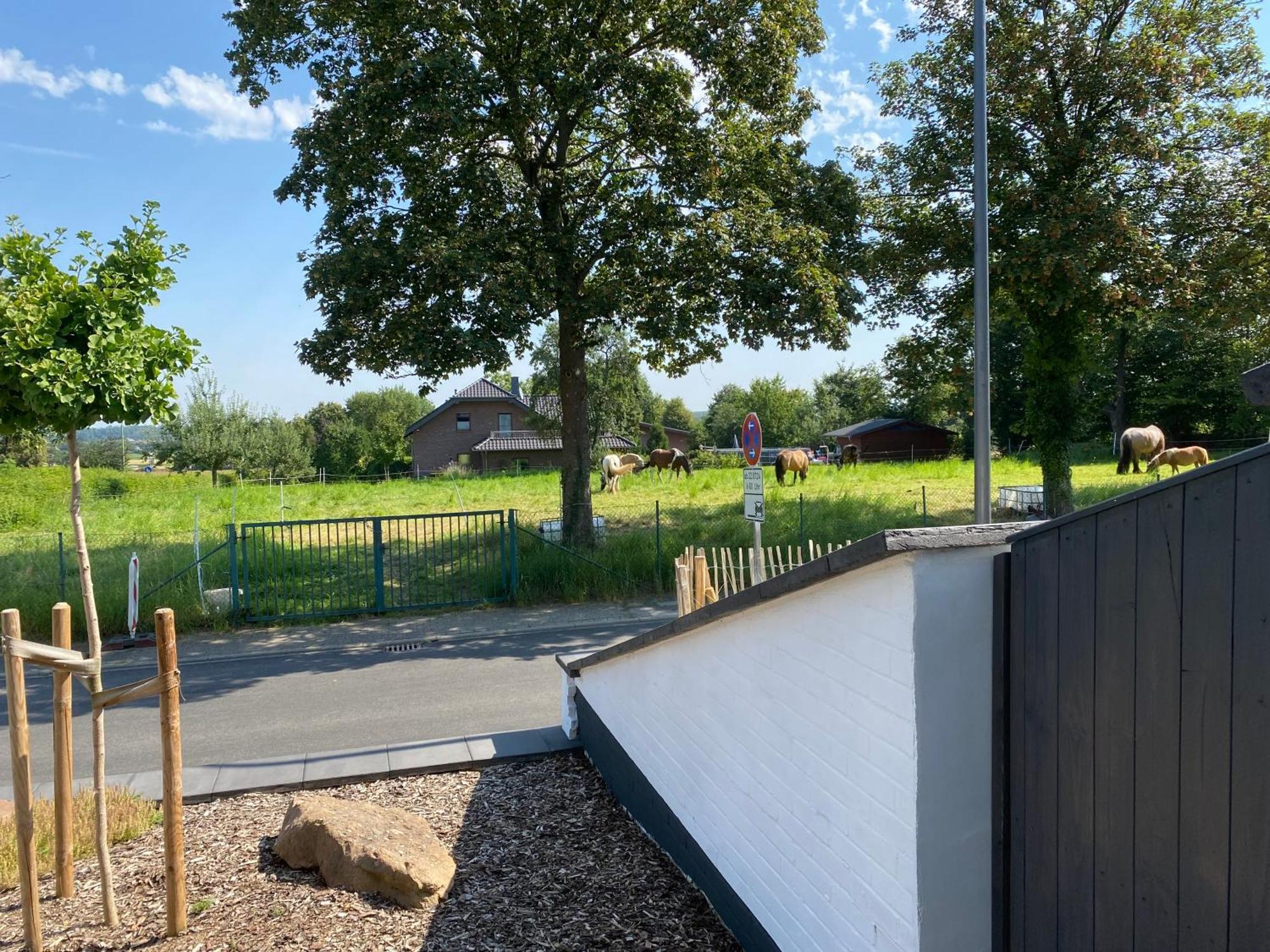 Grosszuegige Premium-Ferienwohnung Bb43 In Der Eifel - 70Qm Top-Ausstattung & Natur Pur Хаймбах Экстерьер фото